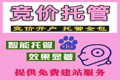 竞价账户优化与维护，代运营公司的专业能力展示